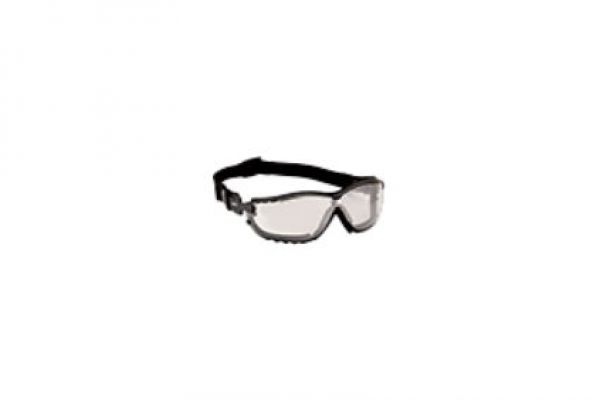 Echo | Glasses and Gloves | Model Part Number: 102922458 for sale at Rippeon Equipment Co., Maryland