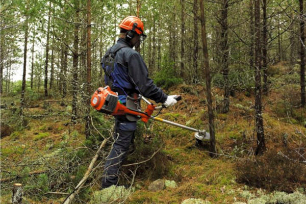Husqvarna | Chainsaws & Forestry Tools | Forestry Clearing Saws for sale at Rippeon Equipment Co., Maryland